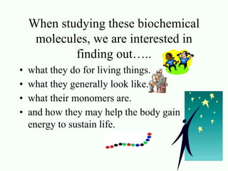 When studying these biochemical 
molecules, we are interested in 
finding out….. 
• what they do for living things. 
• what they generally look like. 
• what their monomers are. 
• and how they may help the body gain 
energy to sustain life. 
 