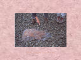 Well, maybe not exactly… 
 