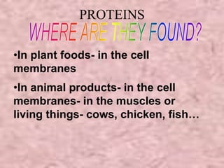PROTEINS 
•In plant foods- in the cell 
membranes 
•In animal products- in the cell 
membranes- in the muscles or 
living things- cows, chicken, fish… 
 
