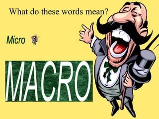 What do these words mean? 
 