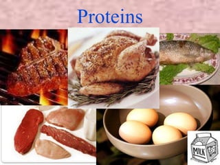 Proteins 
 