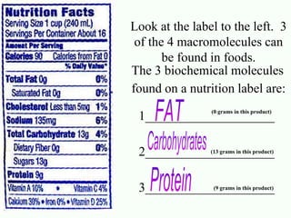 Look at the label to the left. 3 
of the 4 macromolecules can 
be found in foods. 
The 3 biochemical molecules 
found on a nutrition label are: 
(0 grams in this product) 
1____________________ 
2____________________ 
(13 grams in this product) 
3____________________ 
(9 grams in this product) 
 