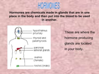 Hormones are chemicals made in glands that are in one 
place in the body and then put into the blood to be used 
in another. 
These are where the 
hormone producing 
glands are located 
in your body. 
 