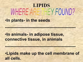 LIPIDS 
•In plants- in the seeds 
--------------------------------------------------- 
•In animals- in adipose tissue, 
connective tissue, in animals 
--------------------------------------------------- 
•Lipids make up the cell membrane of 
all cells. 
 