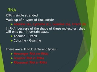 RNA
RNA is single stranded
Made up of 4 types of Nucleotide
 Adenine (A), Cytosine (C), Guanine (G), Uracil (U)
In RNA, because of the shape of these molecules, they
will only pair in certain ways.
 Adenine – Uracil
 Cytosine – Guanine
There are a THREE different types:
 Messenger RNA (m-RNA)
 Transfer RNA (t-RNA)
 Ribosomal RNA (r-RNA)
 