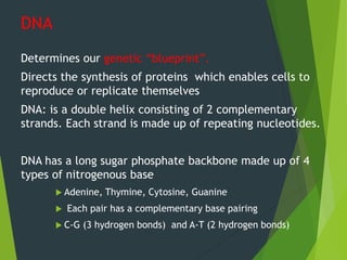DNA
Determines our genetic “blueprint”.
Directs the synthesis of proteins which enables cells to
reproduce or replicate themselves
DNA: is a double helix consisting of 2 complementary
strands. Each strand is made up of repeating nucleotides.
DNA has a long sugar phosphate backbone made up of 4
types of nitrogenous base
 Adenine, Thymine, Cytosine, Guanine
 Each pair has a complementary base pairing
 C-G (3 hydrogen bonds) and A-T (2 hydrogen bonds)
 