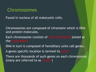Chromosomes
Found in nucleus of all eukaryotic cells.
Chromosomes are composed of chromatin which is DNA
and protein molecules.
Each chromosome consists of two chromatids joined at
the centromere
DNA in turn is composed of hereditary units call genes.
A genes specific location is termed its locus
There are thousands of such genes on each chromosome
(many are referred to as “junk”)
 