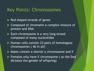 Key Points: Chromosomes
 Rod shaped strands of genes
 Composed of chromatin a complex mixture of
protein and DNA
 Each chromosome is a very long strand
composed of many nucleotides
 Human cells contain 23 pairs of homologous
chromosomes ( 46 in all)
 Males contain a shorter y chromosome and X
 Females only have X chromosome ( so the Dad
dictates the gender of offspring)
 