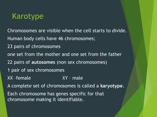 Karotype
Chromosomes are visible when the cell starts to divide.
Human body cells have 46 chromosomes;
23 pairs of chromosomes
one set from the mother and one set from the father
22 pairs of autosomes (non sex chromosomes)
1 pair of sex chromosomes
XX –female XY – male
A complete set of chromosomes is called a karyotype.
Each chromosome has genes specific for that
chromosome making it identifiable.
 