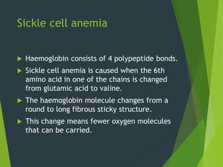 Sickle cell anemia
 Haemoglobin consists of 4 polypeptide bonds.
 Sickle cell anemia is caused when the 6th
amino acid in one of the chains is changed
from glutamic acid to valine.
 The haemoglobin molecule changes from a
round to long fibrous sticky structure.
 This change means fewer oxygen molecules
that can be carried.
 