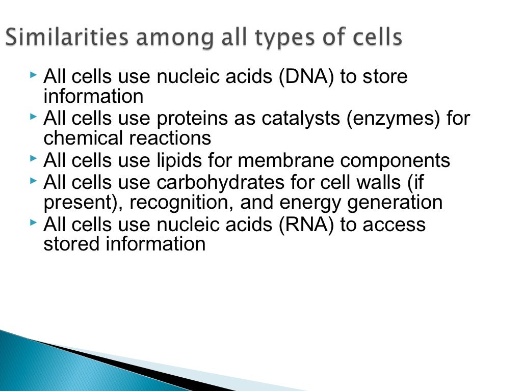 Macromolecules in cells