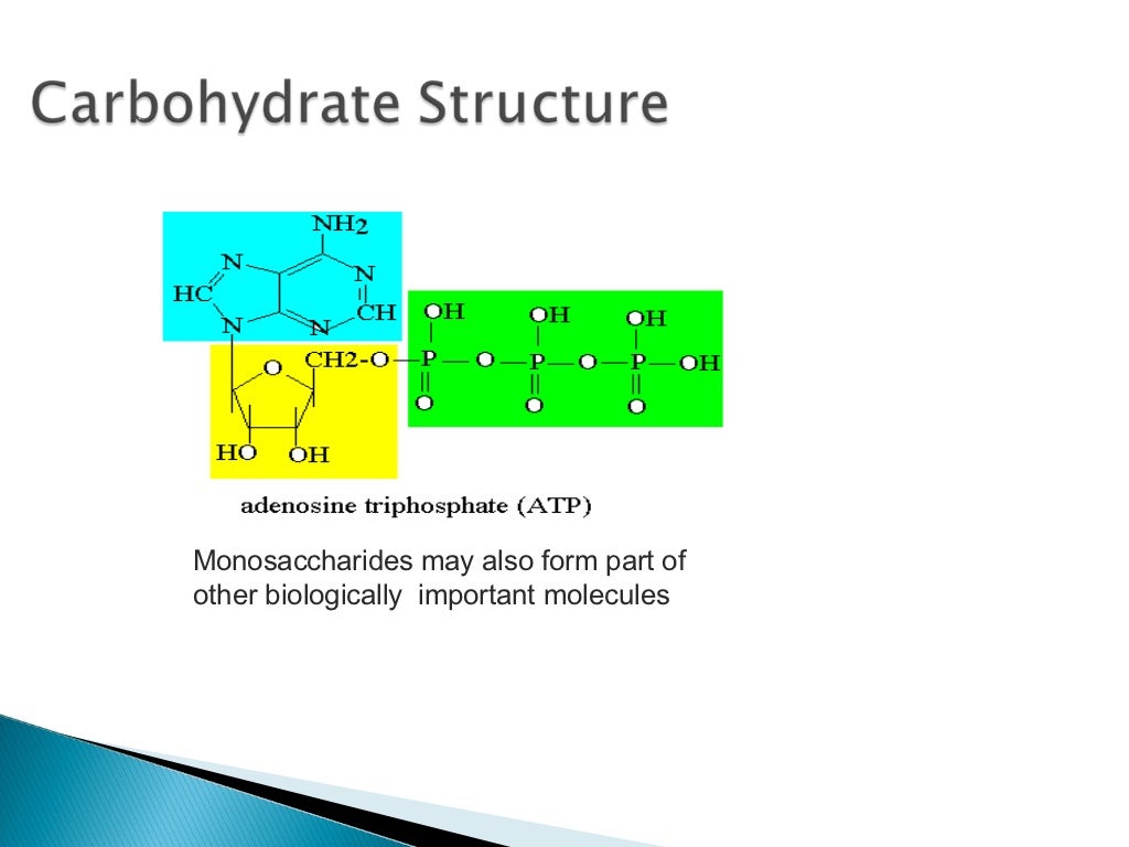 Macromolecules in cells