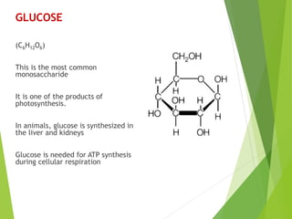 GLUCOSE
(C6H12O6)
This is the most common
monosaccharide
It is one of the products of
photosynthesis.
In animals, glucose is synthesized in
the liver and kidneys
Glucose is needed for ATP synthesis
during cellular respiration
 