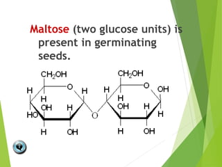 Maltose (two glucose units) is
present in germinating
seeds.
 
