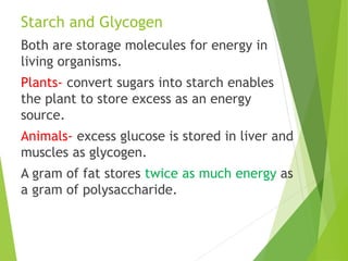 Starch and Glycogen
Both are storage molecules for energy in
living organisms.
Plants- convert sugars into starch enables
the plant to store excess as an energy
source.
Animals- excess glucose is stored in liver and
muscles as glycogen.
A gram of fat stores twice as much energy as
a gram of polysaccharide.
 
