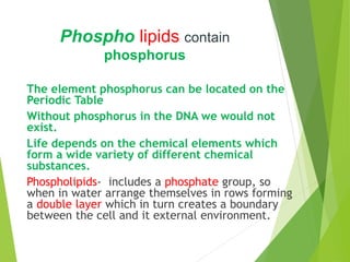 Phospho lipids contain
phosphorus
The element phosphorus can be located on the
Periodic Table
Without phosphorus in the DNA we would not
exist.
Life depends on the chemical elements which
form a wide variety of different chemical
substances.
Phospholipids- includes a phosphate group, so
when in water arrange themselves in rows forming
a double layer which in turn creates a boundary
between the cell and it external environment.
 