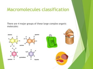 Macromolecules classification
There are 4 major groups of these large complex organic
molecules:
 