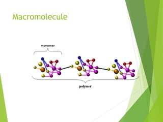 Macromolecule
 