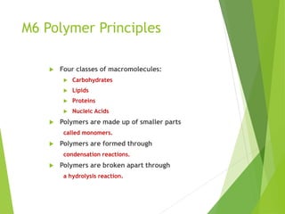 M6 Polymer Principles
 Four classes of macromolecules:
 Carbohydrates
 Lipids
 Proteins
 Nucleic Acids
 Polymers are made up of smaller parts
called monomers.
 Polymers are formed through
condensation reactions.
 Polymers are broken apart through
a hydrolysis reaction.
 