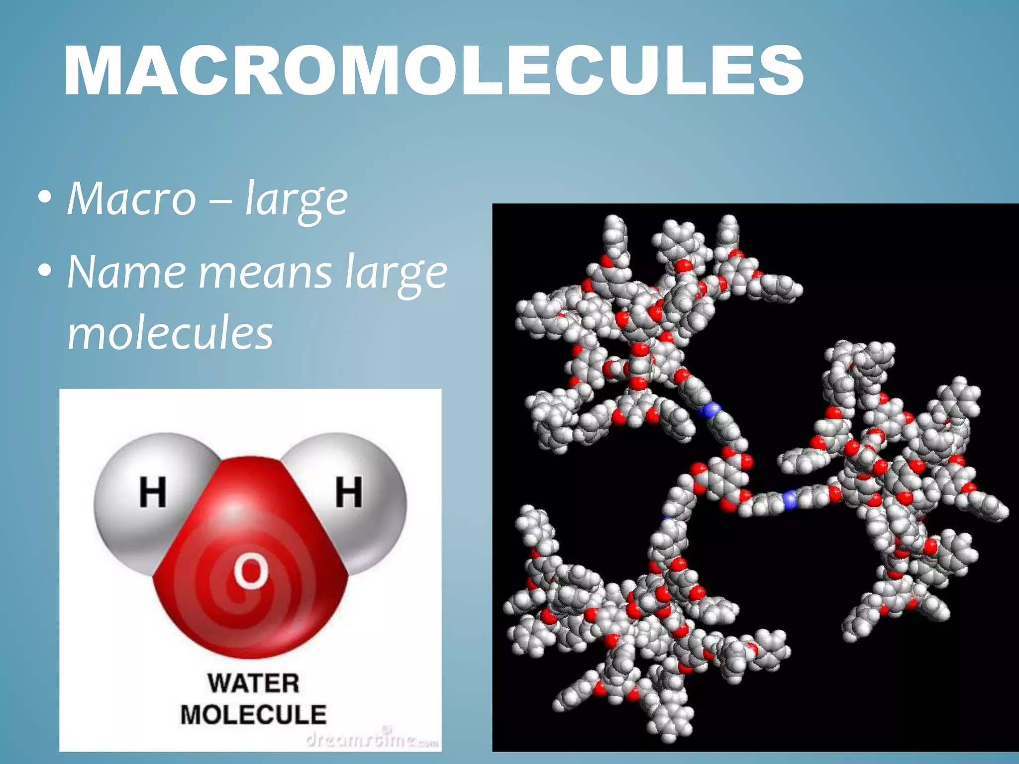 MACROMOLECULES
• Macro – large
• Name means large
molecules