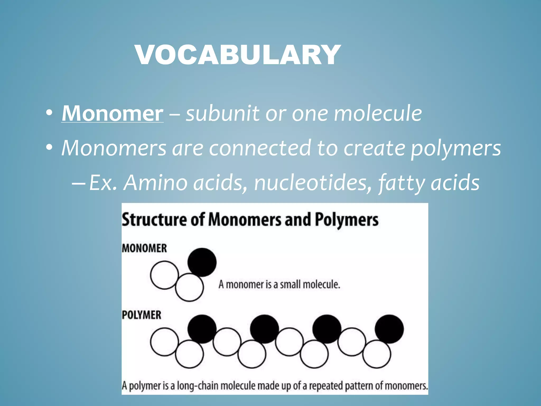 VOCABULARY
• Monomer – subunit or one molecule
• Monomers are connected to create polymers
–Ex. Amino acids, nucleotides, fatty acids