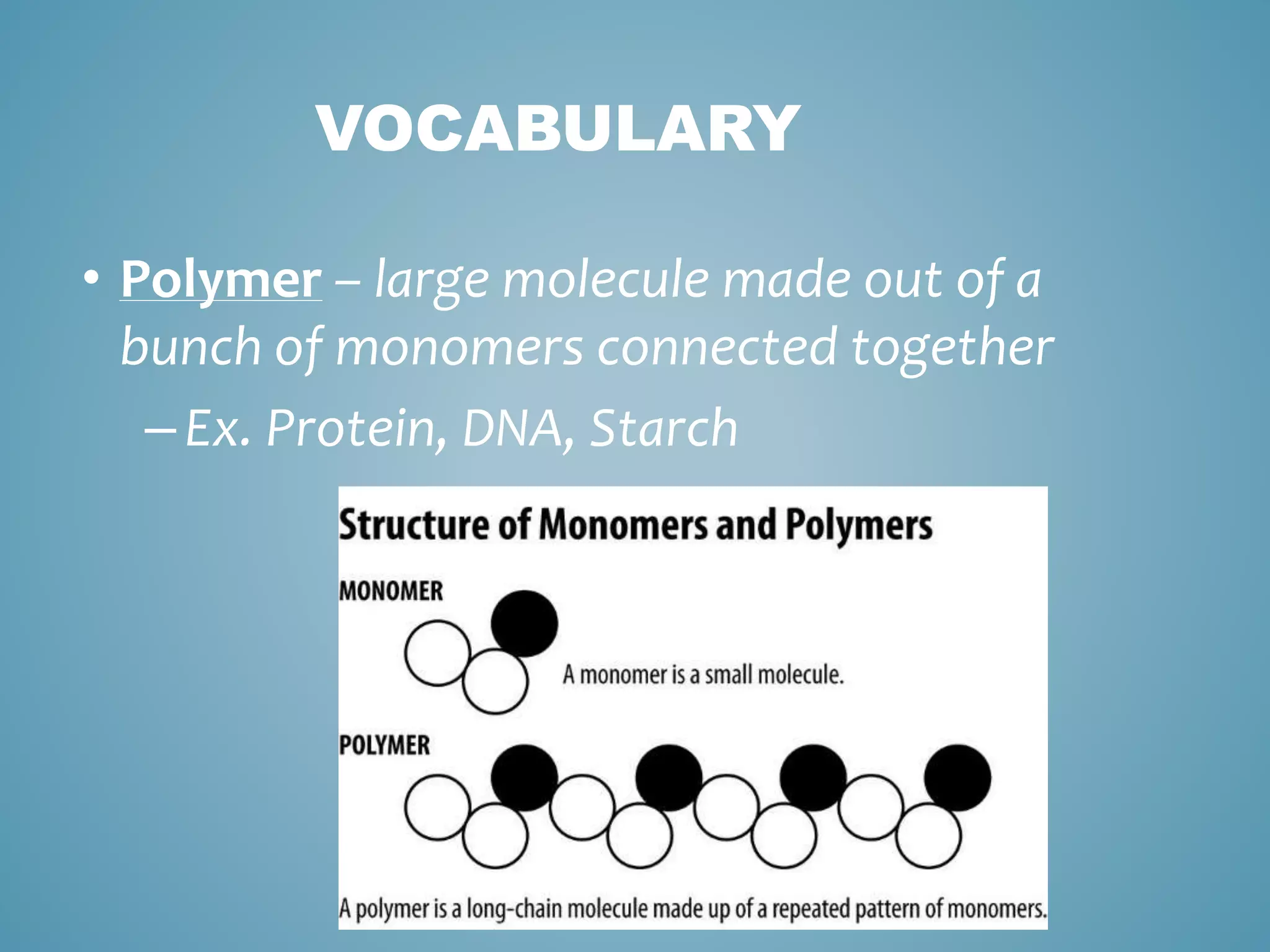 VOCABULARY
• Polymer – large molecule made out of a
bunch of monomers connected together
–Ex. Protein, DNA, Starch