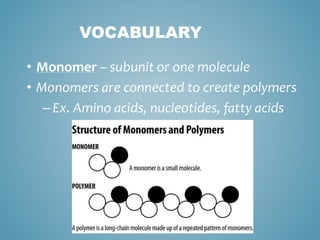 VOCABULARY
• Monomer – subunit or one molecule
• Monomers are connected to create polymers
–Ex. Amino acids, nucleotides, fatty acids
 