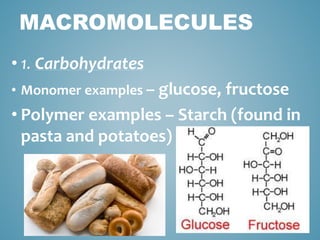 MACROMOLECULES
• 1. Carbohydrates
• Monomer examples – glucose, fructose
• Polymer examples – Starch (found in
pasta and potatoes)
 