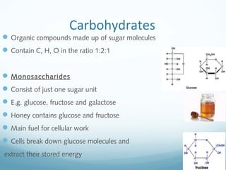 Carbohydrates
Organic compounds made up of sugar molecules
Contain C, H, O in the ratio 1:2:1
Monosaccharides
Consist of just one sugar unit
E.g. glucose, fructose and galactose
Honey contains glucose and fructose
Main fuel for cellular work
Cells break down glucose molecules and
extract their stored energy
 