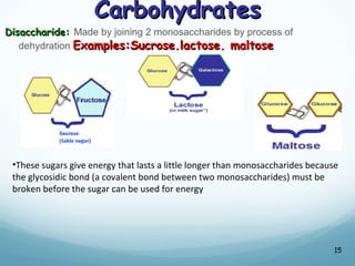 Carbohydrates
Carbohydrates
Disaccharide:
Disaccharide: Made by joining 2 monosaccharides by process of
dehydration Examples:Sucrose,lactose, maltose
Examples:Sucrose,lactose, maltose
15
•These sugars give energy that lasts a little longer than monosaccharides because
the glycosidic bond (a covalent bond between two monosaccharides) must be
broken before the sugar can be used for energy
 