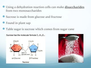 Using a dehydration reaction cells can make disaccharides
from two monosaccharides
Sucrose is made from glucose and fructose
Found in plant sap
Table sugar is sucrose which comes from sugar cane
 