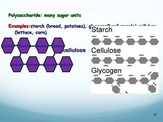 Polysaccharide: many sugar units
Polysaccharide: many sugar units
Examples:
Examples:starch (bread, potatoes), glycogen(beef muscle) cellulose
starch (bread, potatoes), glycogen(beef muscle) cellulose
(lettuce, corn)
(lettuce, corn)
17
glucose
glucose
glucose
glucose
glucose
glucose
glucose
glucose
glucose
glucose
glucose
glucose
glucose
glucose
glucose
glucose
cellulose
cellulose
 