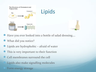 Lipids
Have you ever looked into a bottle of salad dressing….
What did you notice?
Lipids are hydrophobic – afraid of water
This is very important to their function
Cell membranes surround the cell
Lipids also make signalling molecules
Form energy storage
 