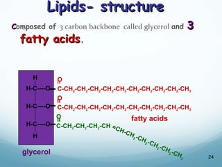 Lipids- structure
Lipids- structure
C
Composed of 3 carbon backbone called glycerol and 3
3
fatty acids
fatty acids.
24
H
H-C----O
H-C----O
H-C----O
H
glycerol
O
C-CH2-CH2-CH2-CH2-CH2-CH2-CH2-CH2-CH2-CH3
=
fatty acids
O
C-CH2-CH2-CH2-CH2-CH2-CH2-CH2-CH2-CH2-CH3
=
O
C-CH2-CH2-CH2-CH =CH-CH
2 -CH
2 -CH
2 -CH
2 -CH
3
=
 