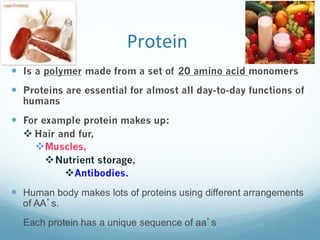 Protein
 