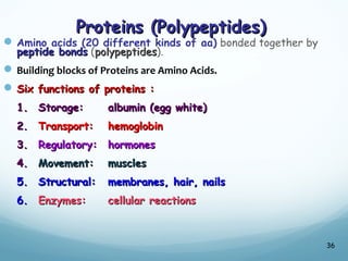 Proteins (Polypeptides)
Proteins (Polypeptides)
Amino acids (20 different kinds of aa) bonded together by
peptide bonds
peptide bonds (polypeptides
polypeptides).
Building blocks of Proteins are Amino Acids.
 Six functions of proteins :
Six functions of proteins :
1.
1. Storage:
Storage: albumin (egg white)
albumin (egg white)
2.
2. Transport:
Transport: hemoglobin
hemoglobin
3.
3. Regulatory:
Regulatory: hormones
hormones
4.
4. Movement:
Movement: muscles
muscles
5.
5. Structural:
Structural: membranes, hair, nails
membranes, hair, nails
6.
6. Enzymes:
Enzymes: cellular reactions
cellular reactions
36
 