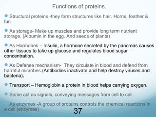 Functions of proteins.
Structural proteins -they form structures like hair. Horns, feather &
fur.
As storage- Make up muscles and provide long term nutrient
storage. (Albumin in the egg. And seeds of plants)
As Hormones – Insulin, a hormone secreted by the pancreas causes
other tissues to take up glucose and regulates blood sugar
concentration.
As Defense mechanism- They circulate in blood and defend from
harmful microbes.(Antibodies inactivate and help destroy viruses and
bacteria).
Transport – Hemoglobin a protein in blood helps carrying oxygen.
Some act as signals, conveying messages from cell to cell.
As enzymes -A group of proteins controls the chemical reactions in
a cell.(enzymes)
37
 