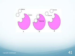 copyright cmassengale
41
 