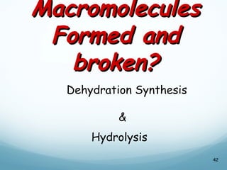 Macromolecules
Macromolecules
Formed and
Formed and
broken?
broken?
42
Dehydration Synthesis
&
Hydrolysis
 