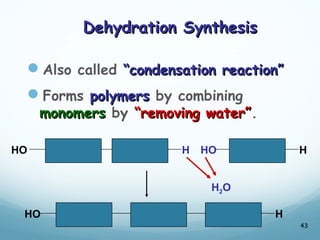 Dehydration Synthesis
Dehydration Synthesis
Also called “condensation reaction”
“condensation reaction”
Forms polymers
polymers by combining
monomers
monomers by “removing water”
“removing water”.
43
HO H
HO HO H
H
H2O
 