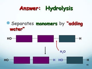 Answer:
Answer: Hydrolysis
Hydrolysis
Separates monomers
monomers by “adding
“adding
water”
water”
45
HO HO H
H
HO H
H2O
 