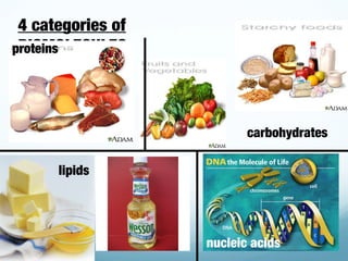 4 categories of
BIOMOLECULES
proteins
carbohydrates
lipids
nucleic acids
 
