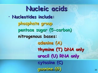 Nucleic acids Nucleotides include: phosphate group pentose sugar (5-carbon) nitrogenous bases: adenine (A) thymine (T) DNA only uracil (U) RNA only cytosine (C) guanine (G) copyright cmassengale 