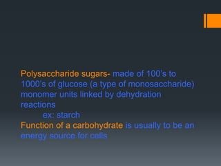 Polysaccharide sugars- made of 100’s to
1000’s of glucose (a type of monosaccharide)
monomer units linked by dehydration
reactions
      ex: starch
Function of a carbohydrate is usually to be an
energy source for cells
 