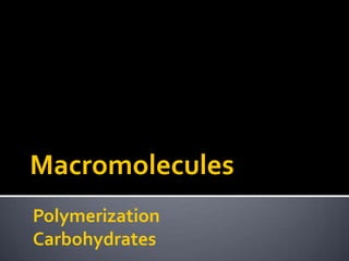 Macromolecules
Polymerization
Carbohydrates
 