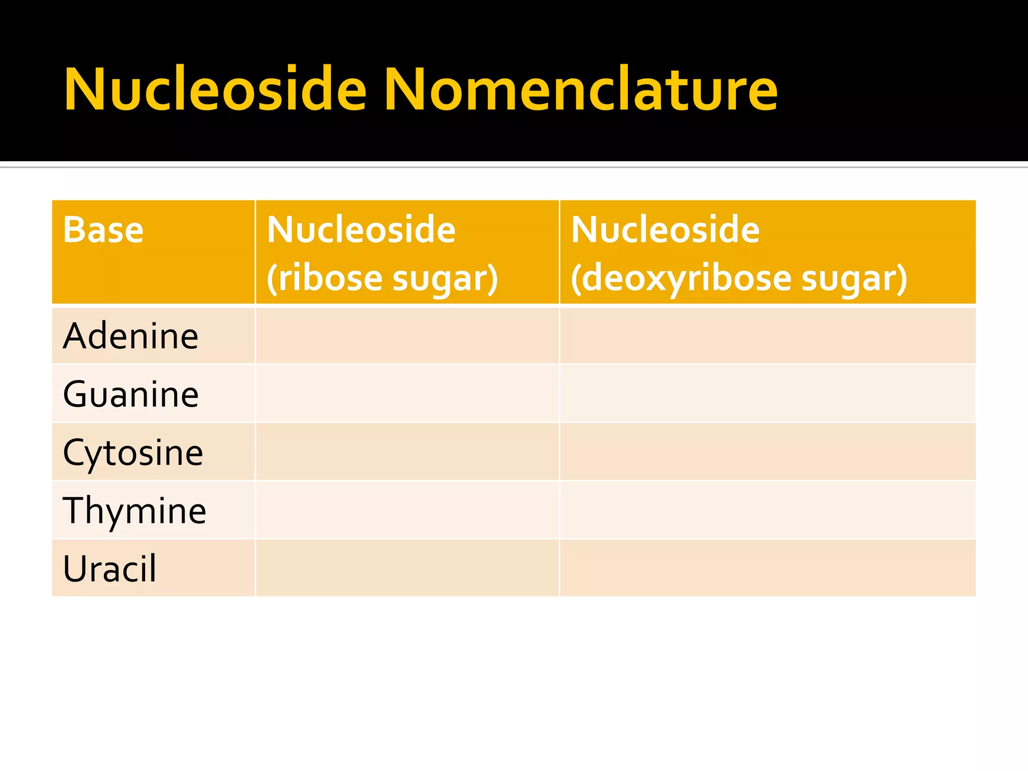 Nucleoside Nomenclature

Base       Nucleoside       Nucleoside
           (ribose sugar)   (deoxyribose sugar)
Adenine
Guanine
Cytosine
Thymine
Uracil
 