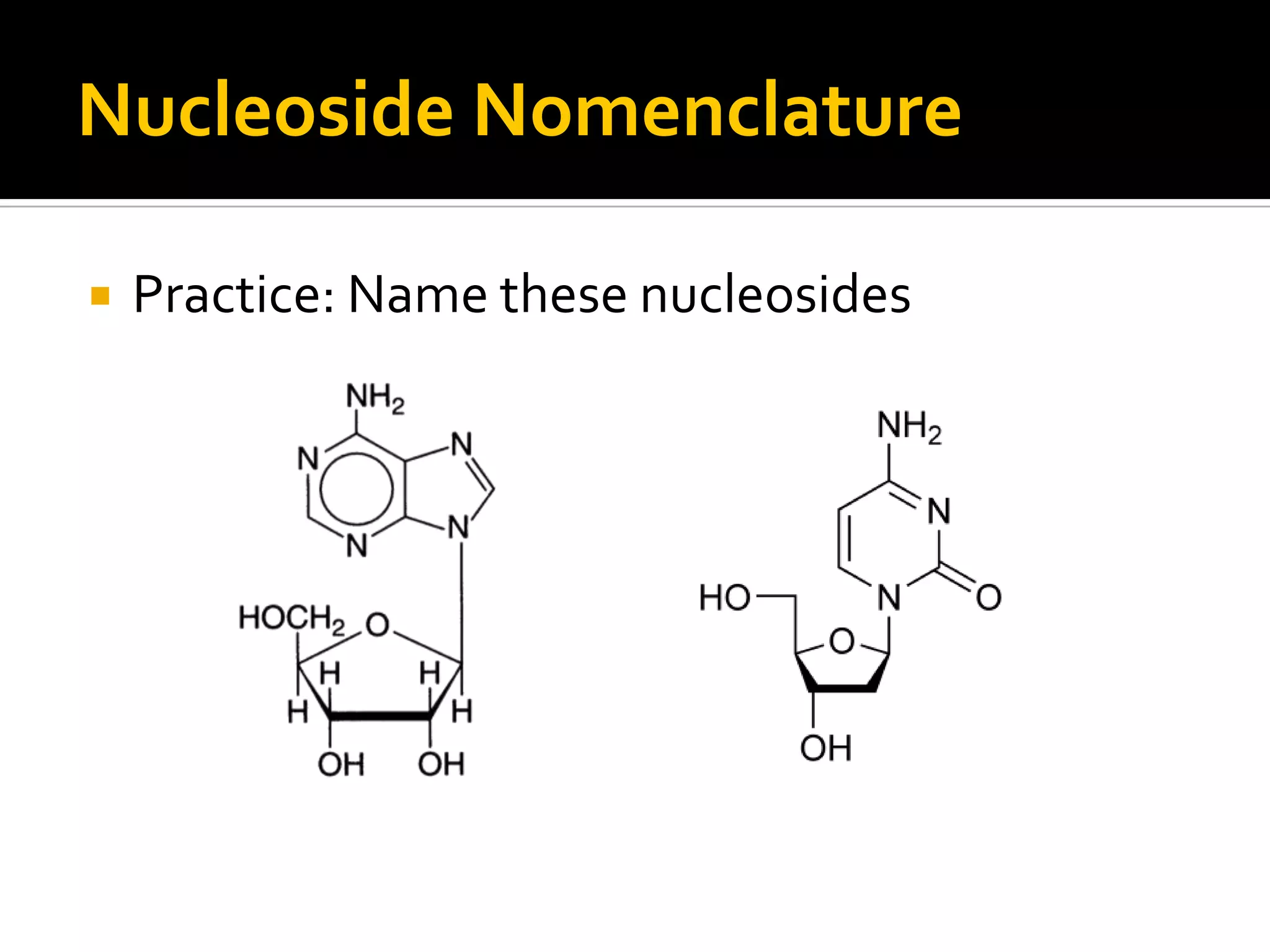 Nucleoside Nomenclature

   Practice: Name these nucleosides
 