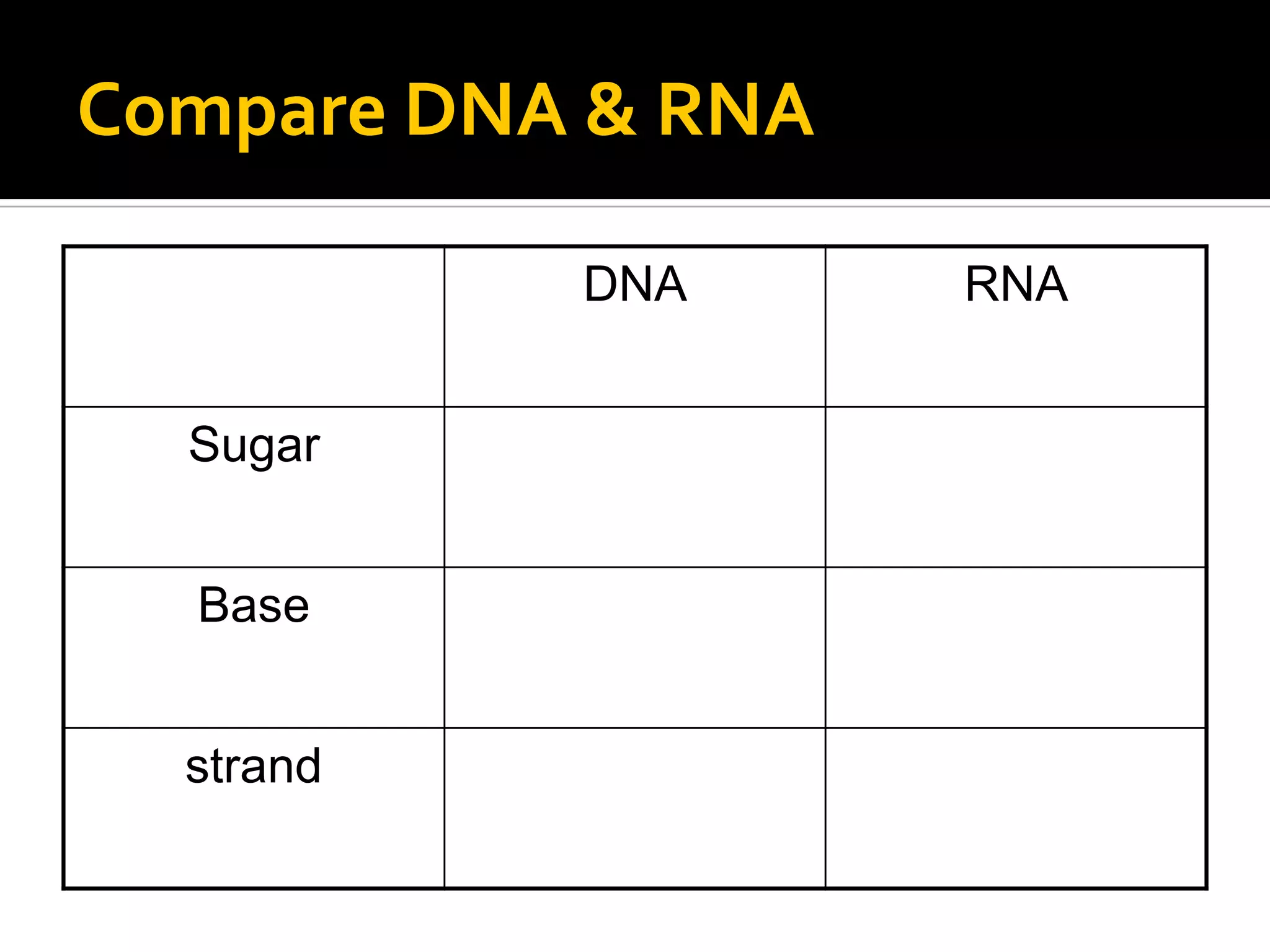 Compare DNA & RNA

           DNA      RNA


  Sugar


  Base


  strand
 