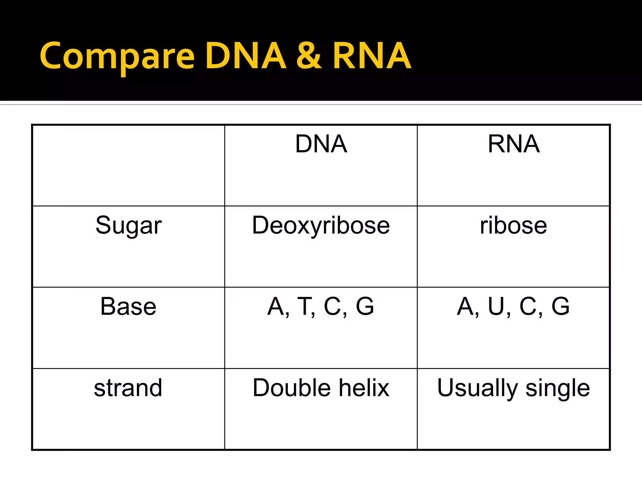 Compare DNA & RNA

              DNA             RNA


  Sugar    Deoxyribose       ribose


  Base      A, T, C, G     A, U, C, G


  strand   Double helix   Usually single
 