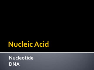 Nucleic Acid
Nucleotide
DNA
 